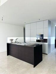 Amber Park (D15), Condominium #502908501